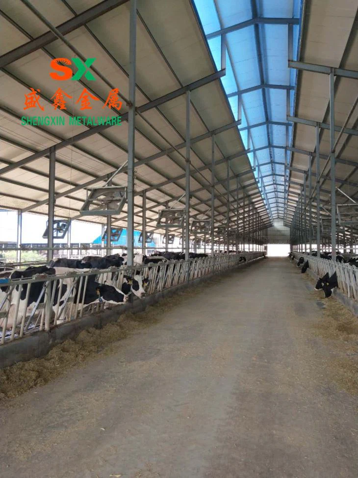 Ipulazi Cow Free Stall